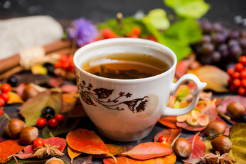 Cup of tea with autumn leaves, nuts, berries and spices on the rustic background. Shallow depth of field.