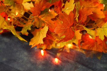 Colorful autumn leaves decoration with lighting bulb