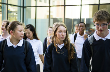 Group of students walking in school