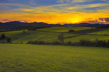 Fototapeta na wymiar beautiful green meadows landscape on sunset time 