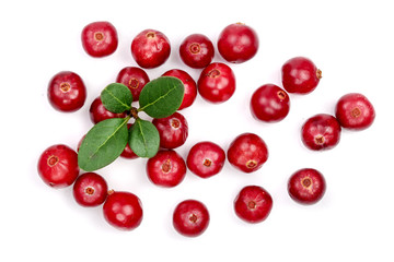 Cranberry with leaf isolated on white background closeup top view