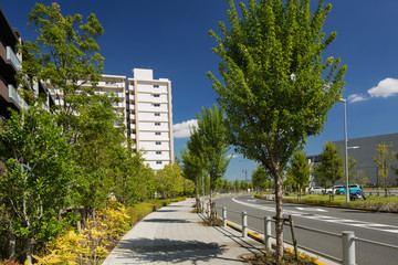 マンション街の並木道