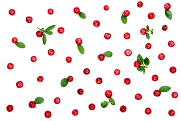 Cranberry with leaves isolated on white background closeup top view. Flat lay pattern