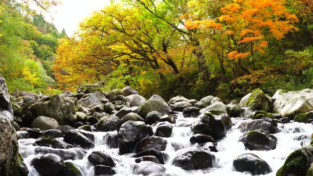 中津川渓谷の紅葉