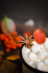 Cup of hot chocolate with marshmallows on the rustic wooden background with autumn decoration. Shallow depth of field.