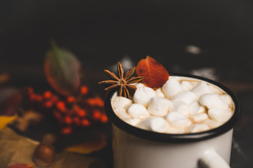 Obraz na płótnie Canvas Cup of hot chocolate with marshmallows on the rustic wooden background with autumn decoration. Shallow depth of field. Toned image.