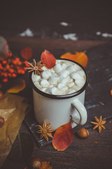 Cup of hot chocolate with marshmallows on the rustic wooden background with autumn decoration. Shallow depth of field. Toned image.