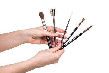 Several different cosmetic brushes isolated on white.