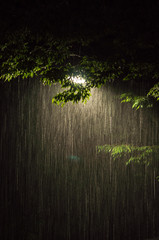 街灯と雨