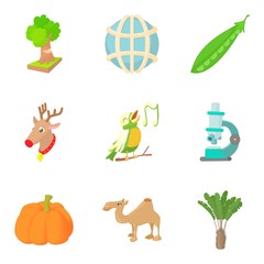 Healthy animal icons set, cartoon style