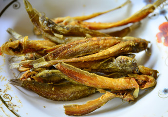 Fresh fried european anchovy on a white plate