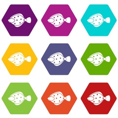 Flounder fish icon set color hexahedron