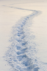 Winding footprints in freshly fallen snow on a field