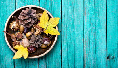 symbolic autumn Ikebana