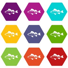European perch, Perca fluviatilis icon set color hexahedron