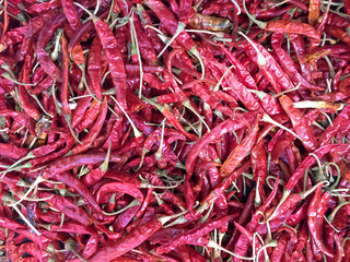 Dried Red Hot Chilies Background