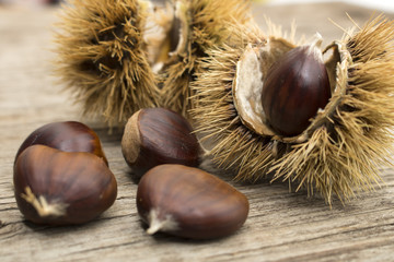 Dettaglio di castagne e ricci susfondo di legno vintage
