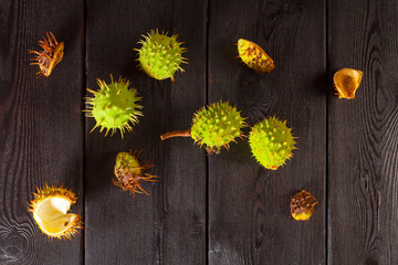 Chestnuts on a wooden table