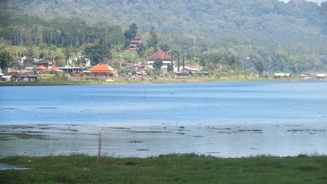 vdf