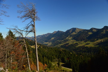 Die Nagelfluh Berge bei Oberstaufen im Allg&auml;u, Bayern, Deutschland