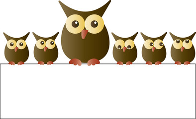 sweet owls sitting on a placard header or banner