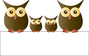 a sweet adorable owl family