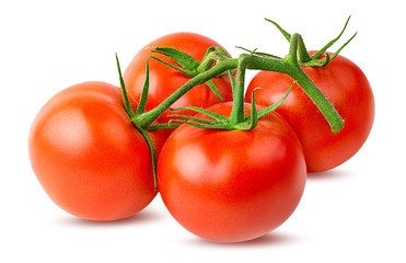 Fresh tomato  with leafs isolated on white background with clipping path