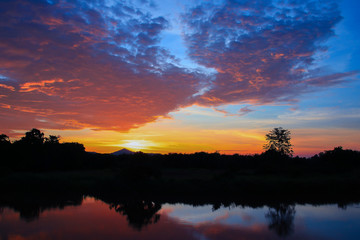 sunset in sky beautiful colorful landscape silhouette tree woodland and river reflect the twilight time