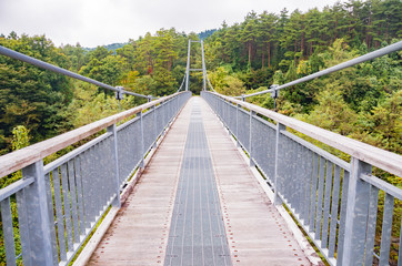 Fototapeta na wymiar 秋の吊り橋