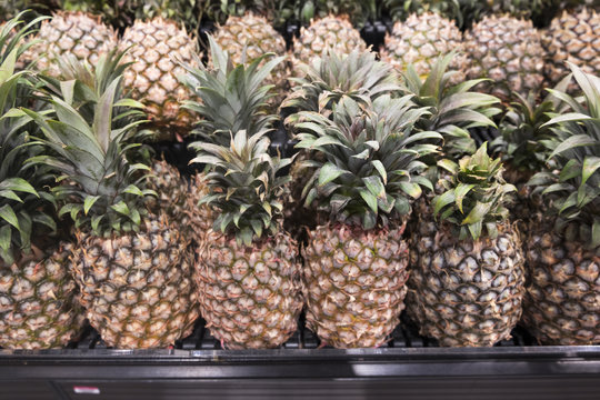 A pile of organic fresh pineapple fruits background display in hypermarket for sale.image concept for groceries and fruit stall.