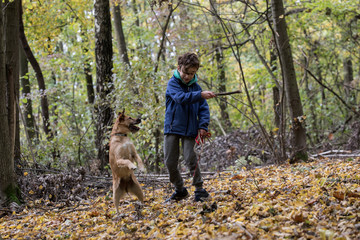 Obraz premium dog and boy friends, dog training 