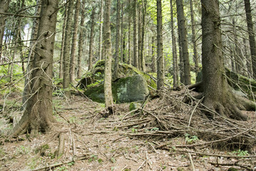 Ziemia Kłodzka - Błędne Skały © KrólestwoNauki