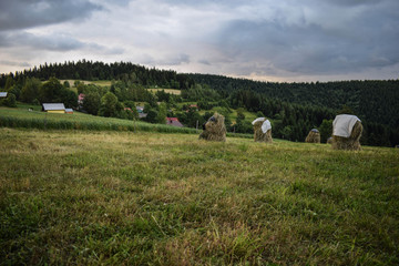 Zielone wiejskie wzgórza © Arsky