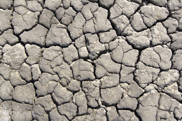 Cracked earth in a dried river bed