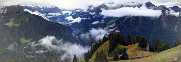 Panoramic view of alpine forest and mountain range in a beautiful day in Schynige Platte,...
