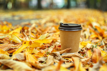 Hot steaming cup of coffee on autumn leaves