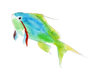 The green anthias fish, watercolor illustration isolated on white background.