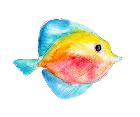 The tang fish, watercolor illustration isolated on white background.