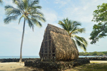 Hawaiian Native Village House