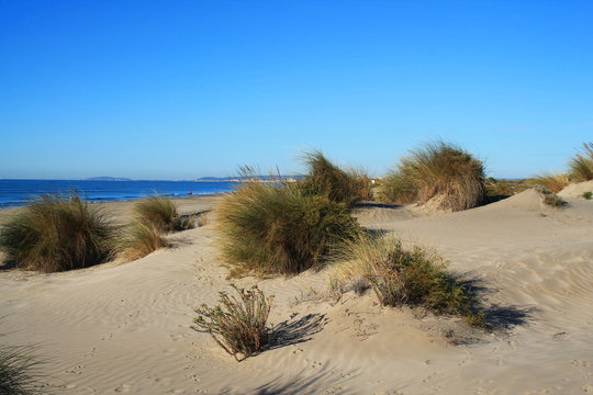 Plage du Grand travers dans l'H&eacute;rault, France