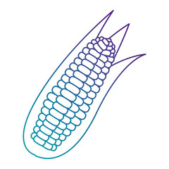 corn fresh vegetable icon
