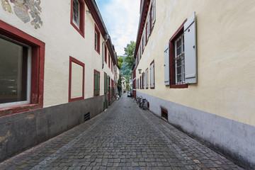 Picturesque street of Heidelberg, Germany