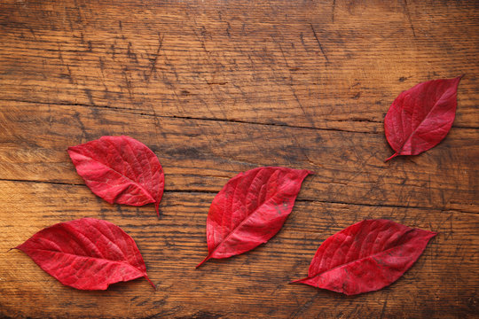 Autumn red leaves are placed on a wood background with copy space.