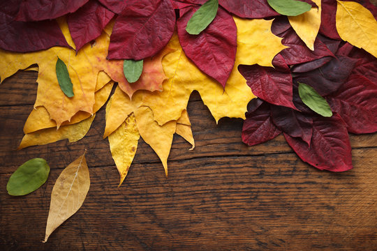 Autumn leaves are placed on a wood background with copy space.