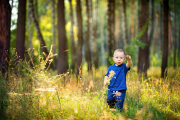 cheerful kid walks in a beautiful evening park..