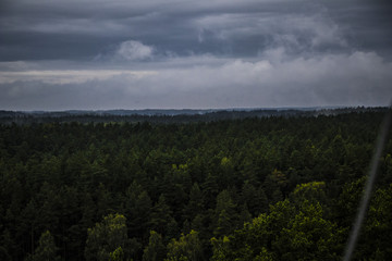 Fototapeta premium at the tower