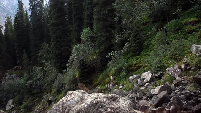 Waterfall Tears Leopard (Barsa), Barskoon gorge, Issyk Kul region, Kyrgyzstan