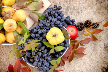 Naklejka na ściany i meble Seasonal healthy food, sweet and tasty autumn fruits