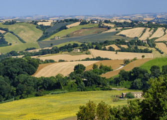 Summer landscape in Marches near Fossombrone
