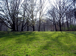 Fototapeta na wymiar City park in spring